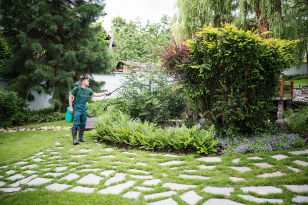 Best Affordable Pest Control Services  in Marysville, CA