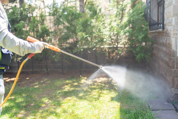 Best Emergency Pest Control  in Marysville, CA