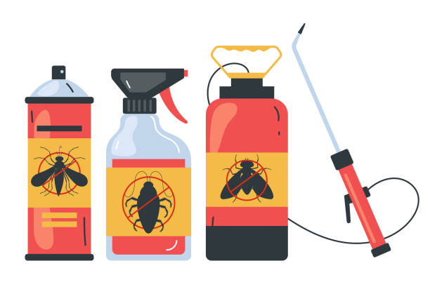 Wasp Removal Services in Marysville, CA