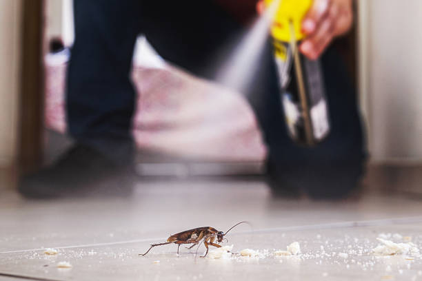 Best Rodent Control Near Me  in Marysville, CA