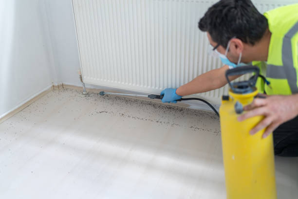 Best Cockroach Control Services  in Marysville, CA
